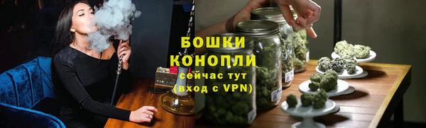дмт Белокуриха