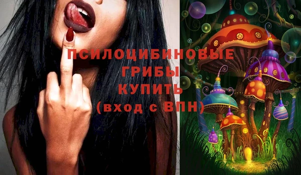 дмт Белокуриха