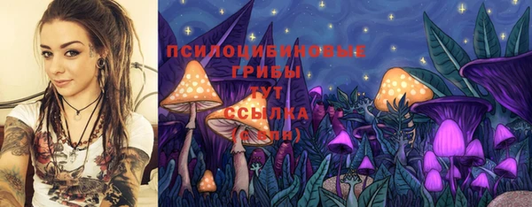 дмт Белокуриха
